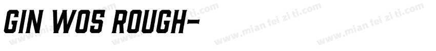 Gin W05 Rough字体转换